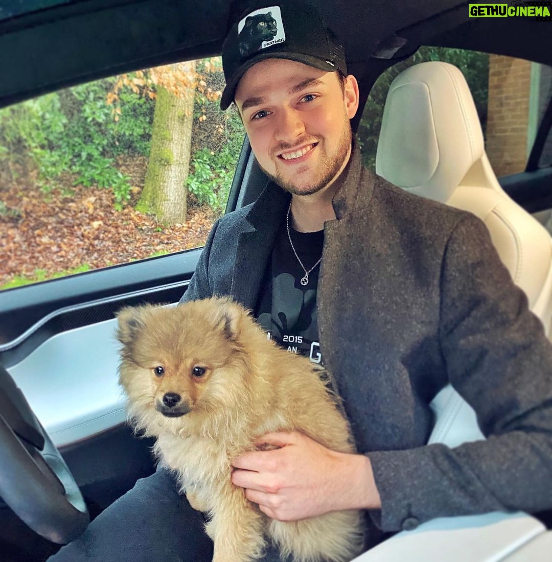 Alastair Aiken Instagram - AD I ๐ถ With @spotifyuk Pets Playlist we can keep the dogs relaxed whenever weโre driving! ๐ Spotify's pet playlist generator makes a playlist for your pet based on their personality! Head over to my stories to make yours now! #SpotifyPets