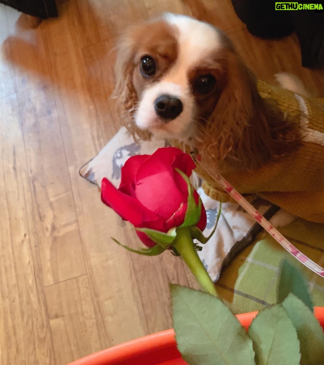 Alastair Aiken Instagram - Happy Valentines π I love spending all day, every day with you! π This is our 4th Valentines now - Time goes by quickly when youβre having fun! ππΆ
