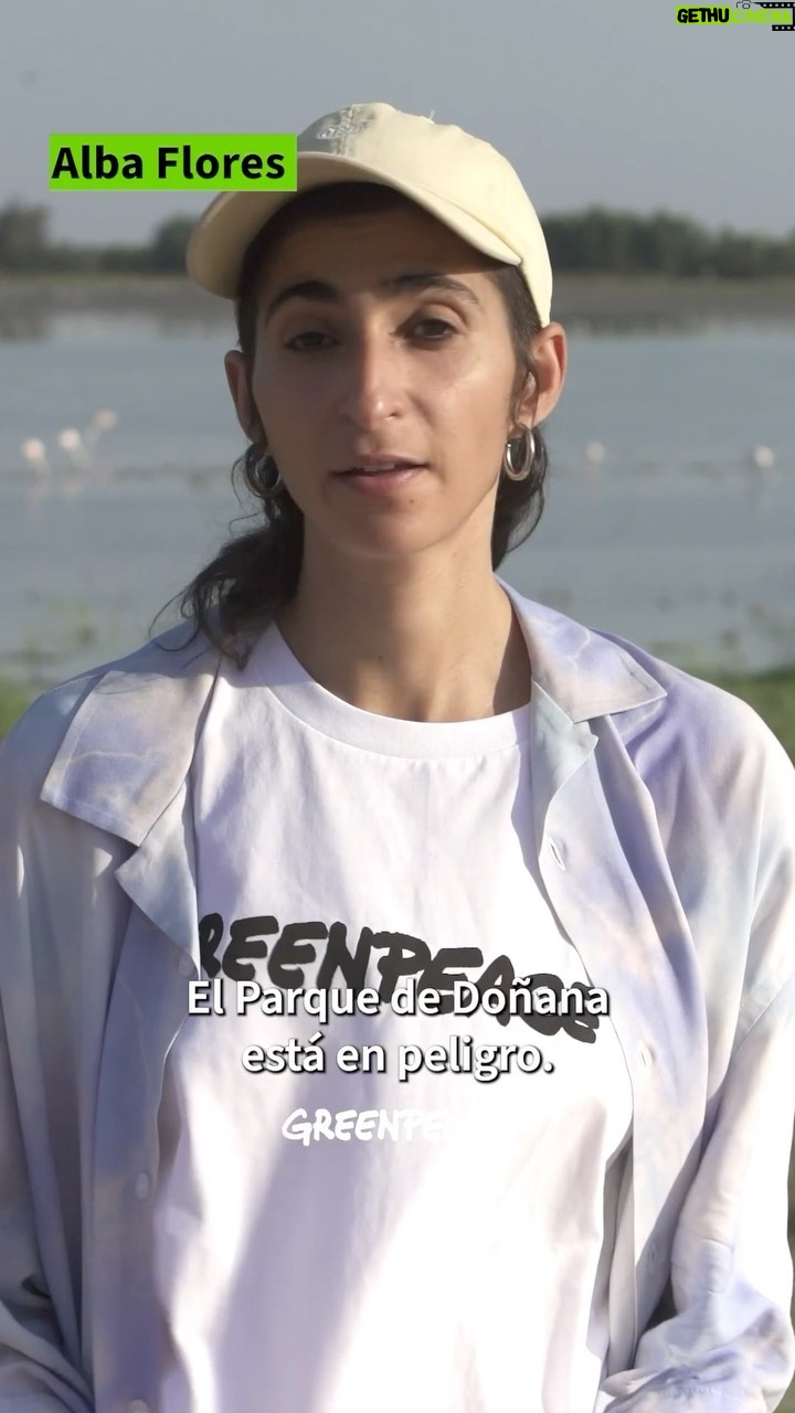 Alba Flores Instagram - Hemos estado con @albafloresoficial recorriendo Doñana para documentar el deterioro que está sufriendo este espacio natural único en Europa. La sobreexplotación de sus acuíferos por culpa de un regadío sin freno y las sequías, que serán cada vez más frecuentes y extremas en nuestro país, ponen en peligro Doñana. Pero hay soluciones reales: una transición hídrica justa y una agricultura adaptada a la realidad de nuestro territorio son imprescindibles. Las falsas soluciones, como prometer más y más regadíos donde no hay agua ni la va a haber, solo ponen en peligro a los agricultores de la zona. Entra en el LINK DE LA BIO para saber más y, si lo deseas, firma la petición para SALVAR DOÑANA.