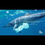 Alba Flores Instagram - Plastic is not fantastic #nomoreplasticmanifesto #worldoceansday #rethinkourfuture #waveofchange #nomoreplastic