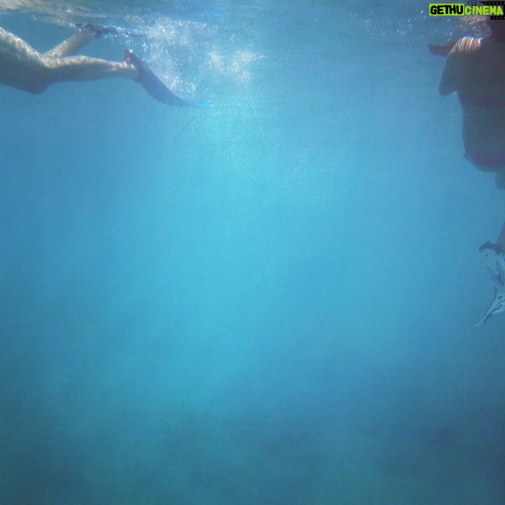 Alba Flores Instagram - He intentado llegar al #festivaldemalaga por mar, buceando.... pero, como veis, me he perdido en en el último pez a la izquierda. Sorry #notsorry. #visavisenfox #visavis #lavidapirataeslavidamejor