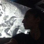 Alba Flores Instagram - #birdistheword #bosch