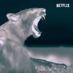 Alba Flores Instagram - #LaTierradeNoche #Nightonearth Ya disponible en @netflixes 🦇🦇🦇🦇🦇🦇🦇🦇🦇🦇🦇🦇🦇🦇