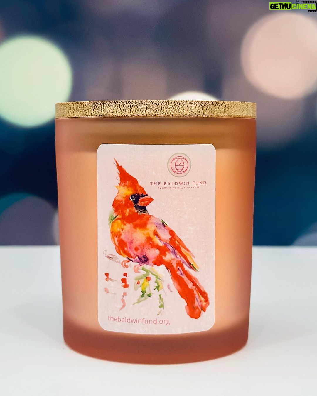 Alec Baldwin Instagram - As a breast cancer survivor, Carol Baldwin spent the last 32 years of her life showing love and compassion to others facing the disease and raising money for research. Honoring her legacy, all proceeds from the sale of The Savage Homestead CAROL'S CARDINALS Orange Blossom & French Vanilla hand poured soy candle benefit The Baldwin Fund. 💗 “We can be Carol’s Cardinals here and support the mission she began. Together we will find a cure. We will help others and share love and compassion with those in need.” Beth Baldwin, Executive Director, The Baldwin Fund 💗 THE BALDWIN FUND Together We Will Find a Cure thebaldwinfund.org @thebaldwinfund 🕯The CAROL'S CARDINALS Orange Blossom & French Vanilla candle🕯️ 🔥frosted pink glass reusable container with bamboo lid 🔥12 ounces | burn time approx. 70-80 hours 🔥custom-blended fragrance 🔥hand-poured on The Savage Homestead in Skaneateles, NY 🔥100% American soy wax 🔥paraben, phthalate, and cruelty free 🔥 no plastic packaging ♻️ Available in-boutique and online 🐝 THE SAVAGE HOMESTEAD Inspired Products for Better Living 3 Fennell Street, Skaneateles, New York 13152 thesavagehomestead.com 🐝 @thebaldwinfund #togetherwewillfindacure #BreastCancerAwarenessMonth #skaneateleslake #skaneateles #upstateny #artisanmade #madelocally #giftideas #giftidea #womanowned #onlineboutique #boutique #soycandles #soycandle #handpouredcandle #handpouredcandles #handpoured #candlesofinstagram #ecochic #ecoconscious