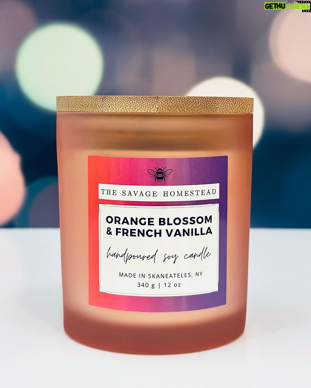 Alec Baldwin Instagram - As a breast cancer survivor, Carol Baldwin spent the last 32 years of her life showing love and compassion to others facing the disease and raising money for research. Honoring her legacy, all proceeds from the sale of The Savage Homestead CAROL'S CARDINALS Orange Blossom & French Vanilla hand poured soy candle benefit The Baldwin Fund. 💗 “We can be Carol’s Cardinals here and support the mission she began. Together we will find a cure. We will help others and share love and compassion with those in need.” Beth Baldwin, Executive Director, The Baldwin Fund 💗 THE BALDWIN FUND Together We Will Find a Cure thebaldwinfund.org @thebaldwinfund 🕯The CAROL'S CARDINALS Orange Blossom & French Vanilla candle🕯️ 🔥frosted pink glass reusable container with bamboo lid 🔥12 ounces | burn time approx. 70-80 hours 🔥custom-blended fragrance 🔥hand-poured on The Savage Homestead in Skaneateles, NY 🔥100% American soy wax 🔥paraben, phthalate, and cruelty free 🔥 no plastic packaging ♻️ Available in-boutique and online 🐝 THE SAVAGE HOMESTEAD Inspired Products for Better Living 3 Fennell Street, Skaneateles, New York 13152 thesavagehomestead.com 🐝 @thebaldwinfund #togetherwewillfindacure #BreastCancerAwarenessMonth #skaneateleslake #skaneateles #upstateny #artisanmade #madelocally #giftideas #giftidea #womanowned #onlineboutique #boutique #soycandles #soycandle #handpouredcandle #handpouredcandles #handpoured #candlesofinstagram #ecochic #ecoconscious