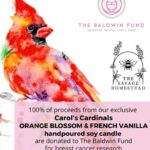 Alec Baldwin Instagram - As a breast cancer survivor, Carol Baldwin spent the last 32 years of her life showing love and compassion to others facing the disease and raising money for research. Honoring her legacy, all proceeds from the sale of The Savage Homestead CAROL'S CARDINALS Orange Blossom & French Vanilla hand poured soy candle benefit The Baldwin Fund. 💗 “We can be Carol’s Cardinals here and support the mission she began. Together we will find a cure. We will help others and share love and compassion with those in need.” Beth Baldwin, Executive Director, The Baldwin Fund 💗 THE BALDWIN FUND Together We Will Find a Cure thebaldwinfund.org @thebaldwinfund 🕯The CAROL'S CARDINALS Orange Blossom & French Vanilla candle🕯️ 🔥frosted pink glass reusable container with bamboo lid 🔥12 ounces | burn time approx. 70-80 hours 🔥custom-blended fragrance 🔥hand-poured on The Savage Homestead in Skaneateles, NY 🔥100% American soy wax 🔥paraben, phthalate, and cruelty free 🔥 no plastic packaging ♻️ Available in-boutique and online 🐝 THE SAVAGE HOMESTEAD Inspired Products for Better Living 3 Fennell Street, Skaneateles, New York 13152 thesavagehomestead.com 🐝 @thebaldwinfund #togetherwewillfindacure #BreastCancerAwarenessMonth #skaneateleslake #skaneateles #upstateny #artisanmade #madelocally #giftideas #giftidea #womanowned #onlineboutique #boutique #soycandles #soycandle #handpouredcandle #handpouredcandles #handpoured #candlesofinstagram #ecochic #ecoconscious