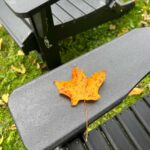 Alec Baldwin Instagram - My 65th Autumn.