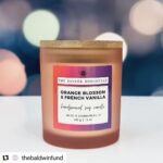 Alec Baldwin Instagram - Thank you @thesavagehomestead! We appreciate the support of my mother’s cause, @thebaldwinfund Today we're launching a very special candle🕯to honor a very special woman and her legacy. 💟 As a breast cancer survivor, Carol Baldwin spent the last 32 years of her life showing love and compassion to others facing the disease and raising money for research. After Carol passed away in 2022, a cardinal began visiting her daughter Beth, Executive Director of The Baldwin Fund. “It’s said that cardinals appear when angels are near and they represent loved ones who have passed away,” says Beth. “They are seen as messengers from heaven who deliver love and comfort during difficult times." 💟 We've created a special hand poured soy candle to honor Carol and support her legacy. All proceeds from the sale of the CAROL'S CARDINALS Orange Blossom & French Vanilla candle benefit The Baldwin Fund. As Beth says, "We can be Carol’s Cardinals here and support the mission she began. Together we will find a cure. We will help others and share love and compassion with those in need.” 💟 THE BALDWIN FUND Together We Will Find a Cure thebaldwinfund.org @thebaldwinfund 🕯🕯🕯 CAROL'S CARDINALS Orange Blossom & French Vanilla candle 🔥frosted pink glass reusable container with bamboo lid | 12 ounces | burn time approx. 70-80 hours 🔥custom-blended fragrance 🔥hand-poured on The Savage Homestead in Skaneateles, NY 🔥100% American soy wax 🔥paraben, phthalate, and cruelty free 🔥 no plastic packaging ♻️ 🏠Available in-boutique and online 📲💻 🐝 THE SAVAGE HOMESTEAD Inspired Products for Better Living 3 Fennell Street, Skaneateles, New York 13152 thesavagehomestead.com 🐝 #togetherwewillfindacure #BreastCancerAwarenessMonth #skaneateleslake #skaneateles #upstateny #artisanmade #madelocally #giftideas #giftidea #womanowned #smallbusiness #onlineboutique #boutique #soycandles #soycandle #handpouredcandle #handpouredcandles #handpoured #candlesofinstagram #handcraftedsoap #handcraftedsoaps #goatmilklotion #goatmilksoap #ShopSmall #shoplocal #SupportSmallBusiness #ecochic #ecoconscious