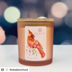 Alec Baldwin Instagram - Thank you @thesavagehomestead! We appreciate the support of my mother’s cause, @thebaldwinfund Today we're launching a very special candle🕯to honor a very special woman and her legacy. 💟 As a breast cancer survivor, Carol Baldwin spent the last 32 years of her life showing love and compassion to others facing the disease and raising money for research. After Carol passed away in 2022, a cardinal began visiting her daughter Beth, Executive Director of The Baldwin Fund. “It’s said that cardinals appear when angels are near and they represent loved ones who have passed away,” says Beth. “They are seen as messengers from heaven who deliver love and comfort during difficult times." 💟 We've created a special hand poured soy candle to honor Carol and support her legacy. All proceeds from the sale of the CAROL'S CARDINALS Orange Blossom & French Vanilla candle benefit The Baldwin Fund. As Beth says, "We can be Carol’s Cardinals here and support the mission she began. Together we will find a cure. We will help others and share love and compassion with those in need.” 💟 THE BALDWIN FUND Together We Will Find a Cure thebaldwinfund.org @thebaldwinfund 🕯🕯🕯 CAROL'S CARDINALS Orange Blossom & French Vanilla candle 🔥frosted pink glass reusable container with bamboo lid | 12 ounces | burn time approx. 70-80 hours 🔥custom-blended fragrance 🔥hand-poured on The Savage Homestead in Skaneateles, NY 🔥100% American soy wax 🔥paraben, phthalate, and cruelty free 🔥 no plastic packaging ♻️ 🏠Available in-boutique and online 📲💻 🐝 THE SAVAGE HOMESTEAD Inspired Products for Better Living 3 Fennell Street, Skaneateles, New York 13152 thesavagehomestead.com 🐝 #togetherwewillfindacure #BreastCancerAwarenessMonth #skaneateleslake #skaneateles #upstateny #artisanmade #madelocally #giftideas #giftidea #womanowned #smallbusiness #onlineboutique #boutique #soycandles #soycandle #handpouredcandle #handpouredcandles #handpoured #candlesofinstagram #handcraftedsoap #handcraftedsoaps #goatmilklotion #goatmilksoap #ShopSmall #shoplocal #SupportSmallBusiness #ecochic #ecoconscious