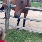 Alec Baldwin Instagram - A boy and his horse and his snacks…
