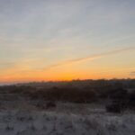 Alec Baldwin Instagram – 25 seconds of the Amagansett dunes…