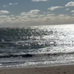 Alec Baldwin Instagram - Ditch Plains a bit battered by the storms…