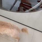 Alejandro Sanz Instagram - Con agosto desde amor. 🥷 Sin Ubicación.