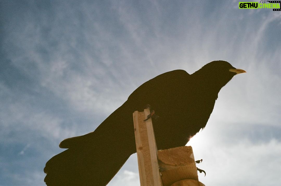 Alejandro Speitzer Instagram - Ahí también sonaba Flaca. 35 mm.