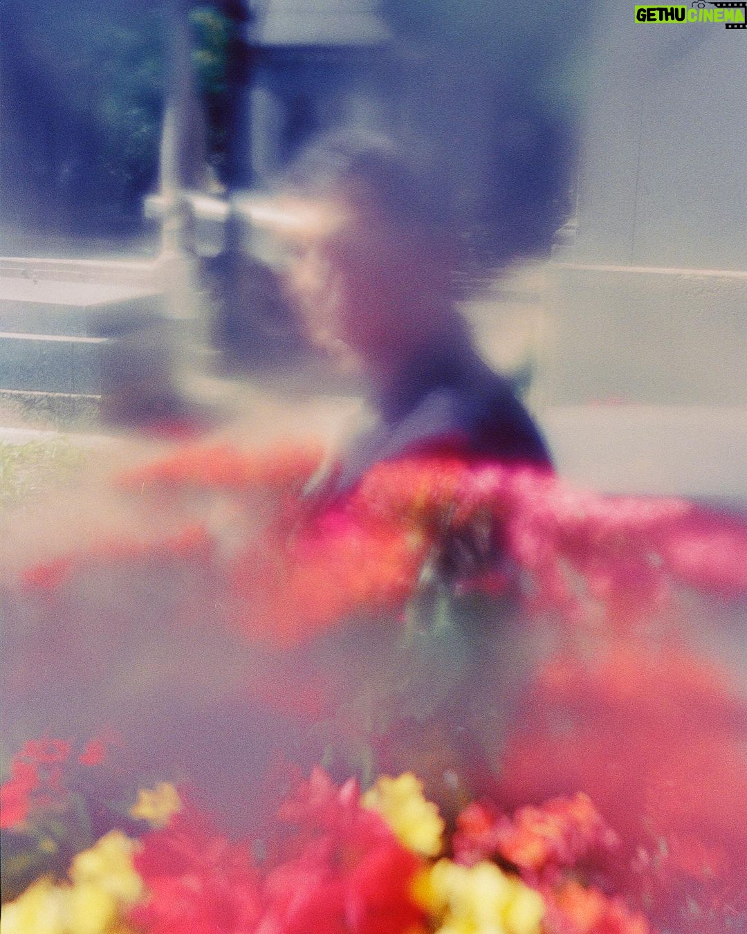 Aleksandr Gudkov Instagram - J’ai pris ces photos D’Alexandre en utilisant la magie des films périmés. Si vous aussi souhaitez une séance photo et que vous êtes à Paris, envoyez-moi un message même après la fermeture du cimetière. Pour votre magazine préféré @badlonmagazine 💛 Total look @gucci #madewithkodak Paris, France