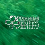 Aleksandr Gudkov Instagram - з а в т р а 🦩 🦩 🦩 Четвертиновка