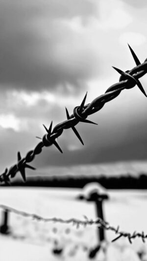 Aleksandr Shpak Instagram - Готовься Вова