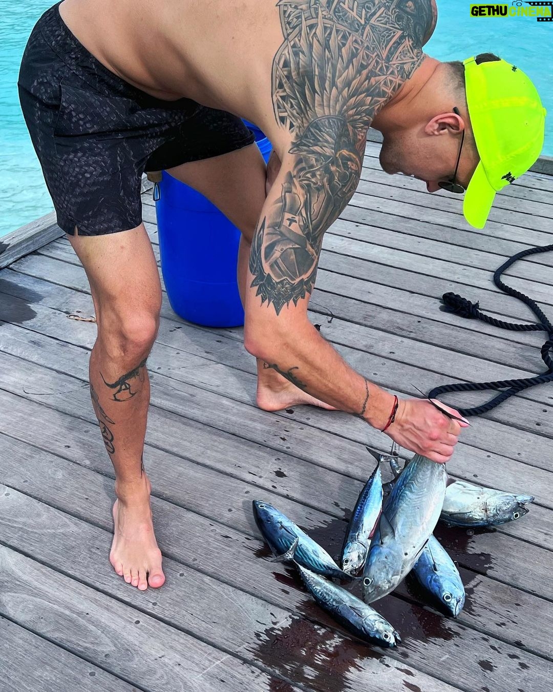 Aleksandr Tarasov Instagram - Рыбка клюет!! Накормил всю семью Мальдивским тунцом!🎣🍣 Soneva Fushi