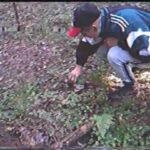 Aleksey Shcherbakov Instagram – Грибные 90-е на ютубе. Ссылка в профиле

Да, фильтр как у Антона Лапенко, это он его изобрёл.