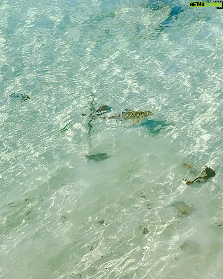 Alessandra Ambrosio Instagram - Paradise found 🤍🏝️🐚🌞 Phuket, Thailand