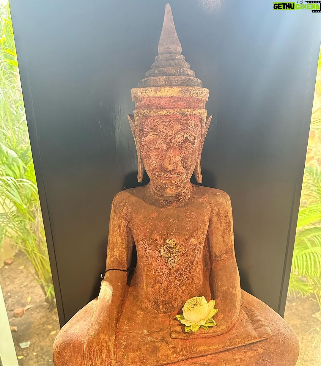 Alessandra Ambrosio Instagram - Once a residence for guests of the King of Cambodia… 👑🇰🇭 @amansara_angkor