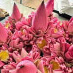 Alessandra Ambrosio Instagram – Heavenly… @amansara_angkor 🪷💫