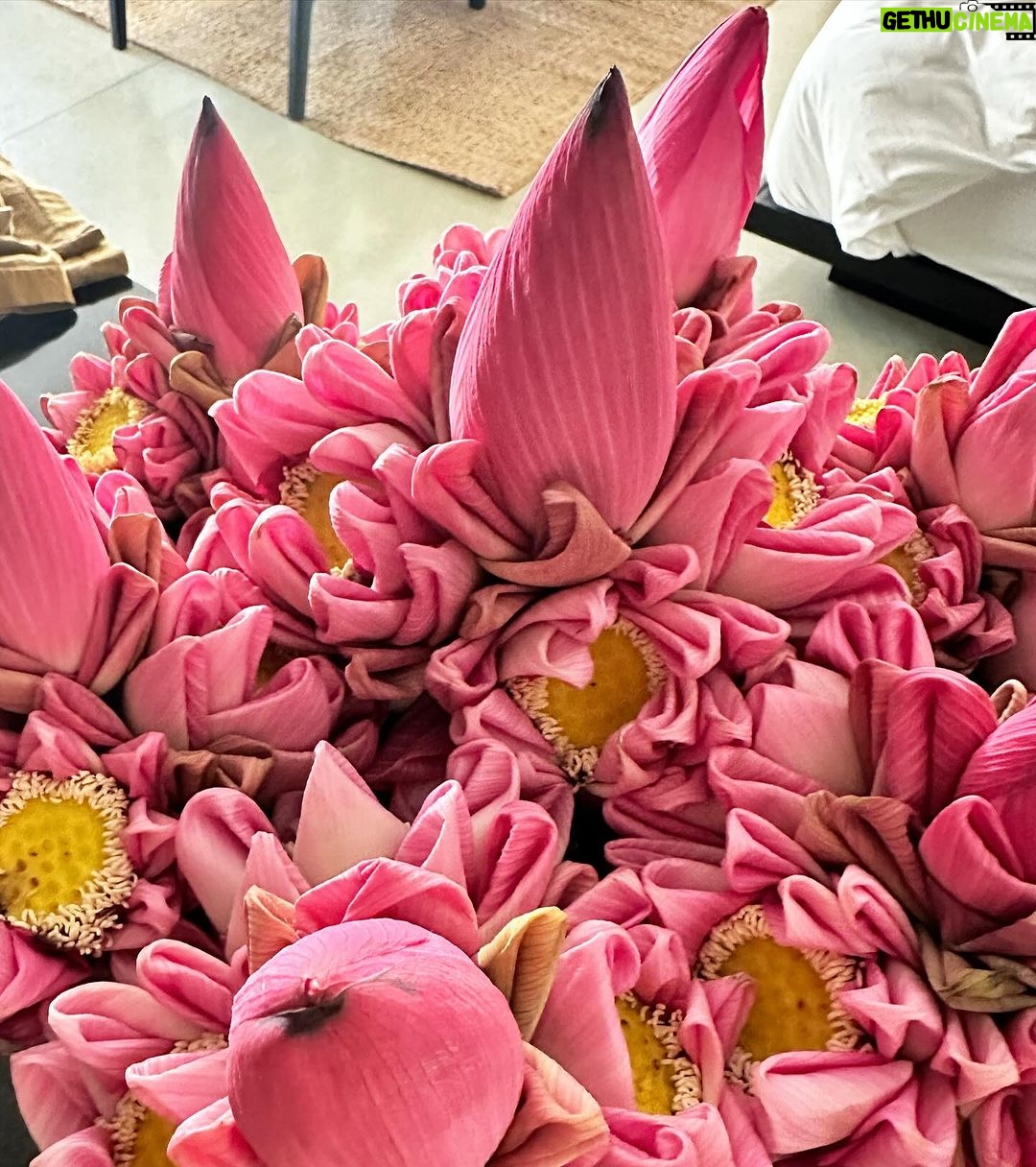 Alessandra Ambrosio Instagram - Heavenly… @amansara_angkor 🪷💫