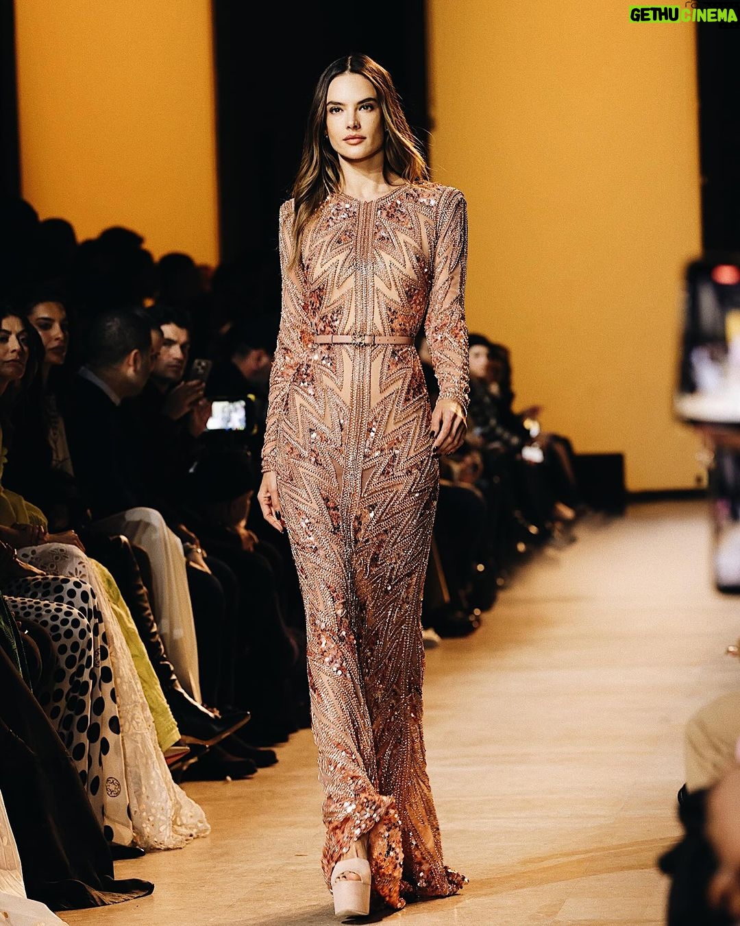 Alessandra Ambrosio Instagram - Sublime @eliesaabworld ✨🤍💫 #pfw Paris, France