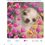 Alessandra Fuller Instagram - JAJA ES QUE necesito dejar los memes de ayer por aquí 💗💗💗 Me encantas @elgrancheffamosos.tv