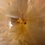 Alessandra Negrini Instagram - Fotos de hotel. Detroid, 22:13h