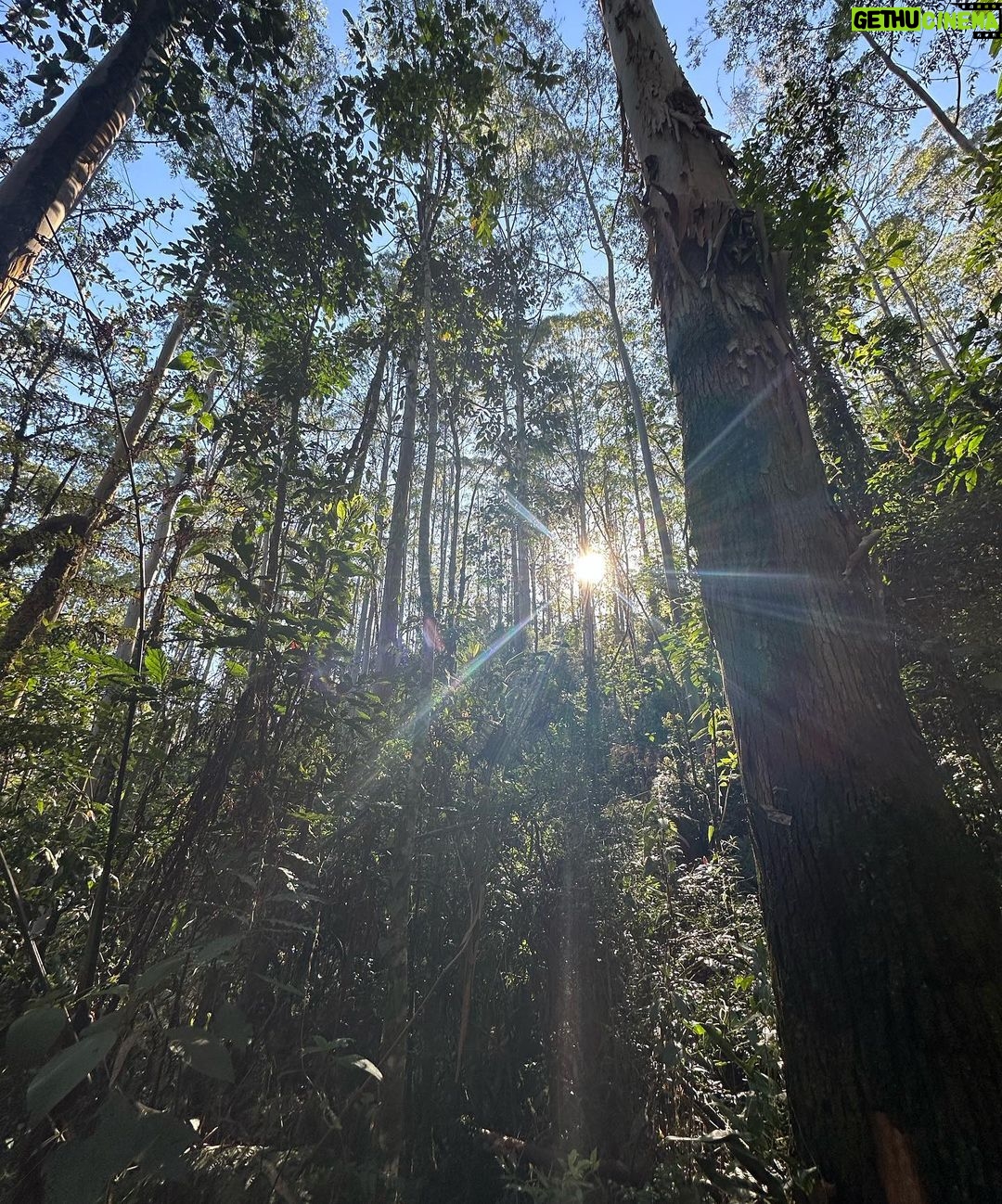 Alessandra Negrini Instagram - Sábado de luz.