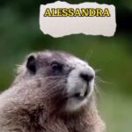 Alessandra Negrini Instagram – Alessandraaaaa 🙃