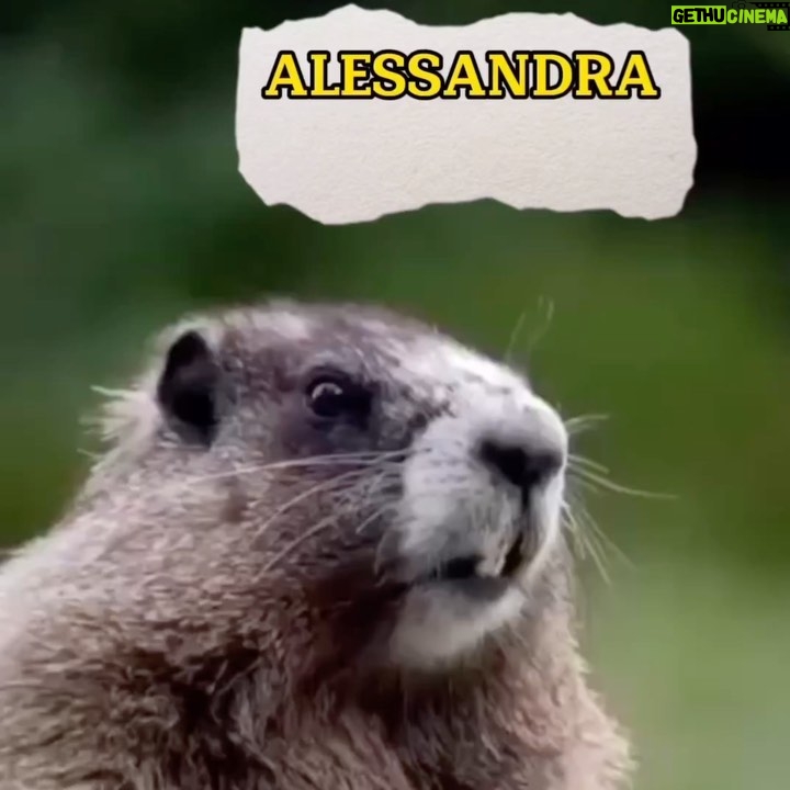 Alessandra Negrini Instagram - Alessandraaaaa 🙃