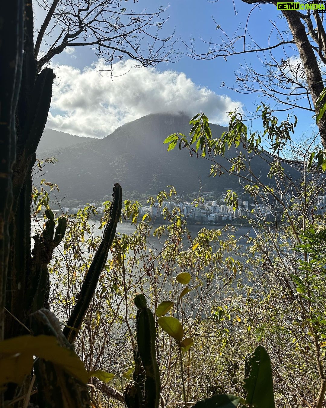 Alessandra Negrini Instagram - Nas alturas com as amigas! ❤️👯♀️👯♀️Trilhazinha boa, deu pra cansar.🥾 🥵Parque da Catacumba, não conhecia. Vai até o fim pra ver a vista. Como o Rio é lindo! Tava morrendo de saudades! 🌳🌊 😎👙🌊🌳 Rio de Janeiro, Rio de Janeiro