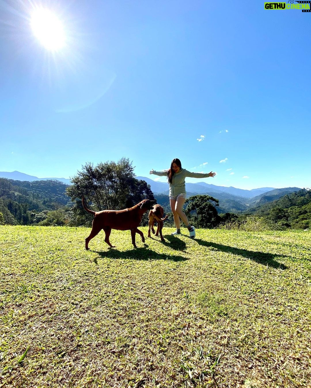 Alessandra Negrini - 373.8K Likes - Pé no chão, cachorros, sol! Tava precisando muito!