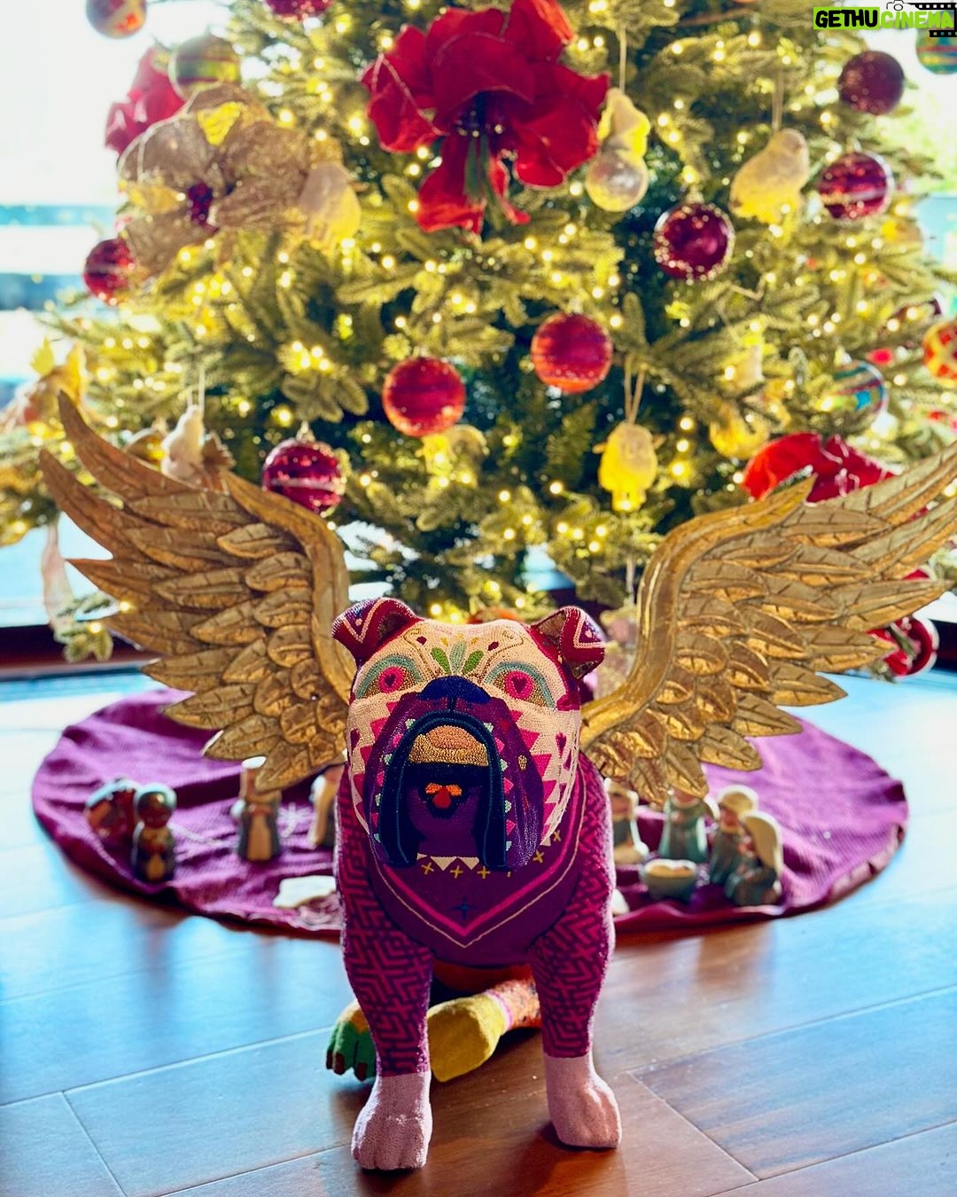 Alessandra Rosaldo - 578K Likes - No alcanzan las palabras para expresarte @aislinnderbez lo profundo que has tocado nuestros corazones, lo mucho que este regalo significa para @ederbez, para Aitana y para mi, y lo inmensamente agradecidos que estamos contigo, con @sofiaberlangav y con los artesanos Wixarika de @morenacorazon por haber convertido a @fionaderbez en el ángel más hermoso a través de esta obra de arte inigualable. GRACIAS INFINITAS 🙏🏼 Te amamos con todo el corazón @aislinnderbez y te amamos con todo el corazón @fionaderbez #foreverinourhearts 🪽👼🏻🐶