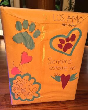 Alessandra Rosaldo Instagram - No alcanzan las palabras para expresarte @aislinnderbez lo profundo que has tocado nuestros corazones, lo mucho que este regalo significa para @ederbez, para Aitana y para mi, y lo inmensamente agradecidos que estamos contigo, con @sofiaberlangav y con los artesanos Wixarika de @morenacorazon por haber convertido a @fionaderbez en el ángel más hermoso a través de esta obra de arte inigualable. GRACIAS INFINITAS 🙏🏼 Te amamos con todo el corazón @aislinnderbez y te amamos con todo el corazón @fionaderbez #foreverinourhearts 🪽👼🏻🐶