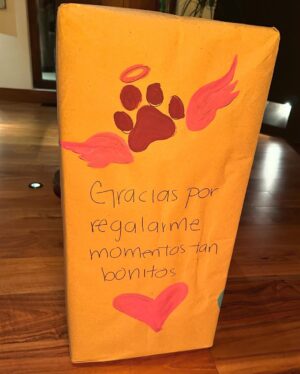 Alessandra Rosaldo Instagram - No alcanzan las palabras para expresarte @aislinnderbez lo profundo que has tocado nuestros corazones, lo mucho que este regalo significa para @ederbez, para Aitana y para mi, y lo inmensamente agradecidos que estamos contigo, con @sofiaberlangav y con los artesanos Wixarika de @morenacorazon por haber convertido a @fionaderbez en el ángel más hermoso a través de esta obra de arte inigualable. GRACIAS INFINITAS 🙏🏼 Te amamos con todo el corazón @aislinnderbez y te amamos con todo el corazón @fionaderbez #foreverinourhearts 🪽👼🏻🐶