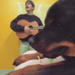 Alex Aiono Instagram - Miso Piso Pudding Pie, you’re the apple of my eye, cross my heart and hope to die, I swear you’re my forever guy❤️ On January 3rd, my Miso and I found out he had a very rare genetic defect, and that our time together wouldn’t be much longer. We spent these last 2 months making the most of every moment together. This morning Miso and I finally said farewell, and he peacefully passed on to a place where he knows no pain or suffering. My boy, you are the single greatest thing I’ve ever done. My heart may never be whole again, but I’ll always carry the perfect love that you gave me. Thank you for saving me. Thank you for making me feel completely loved and understood. Now run free and guide my path my sweet boy❤️
