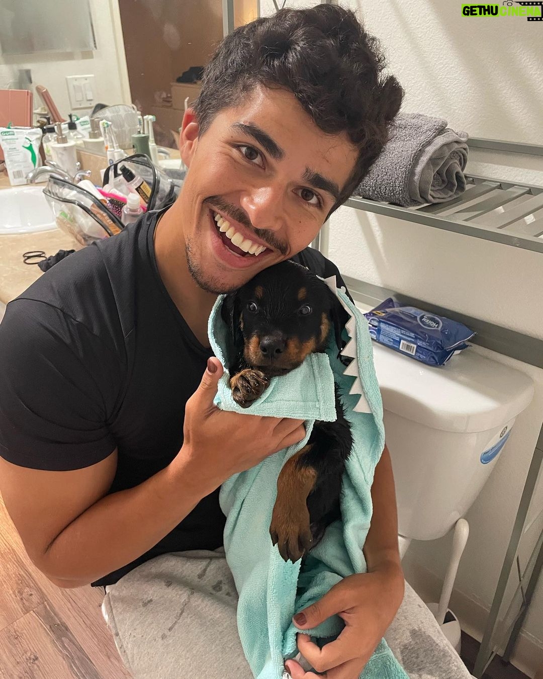 Alex Aiono Instagram - Miso Piso Pudding Pie, you’re the apple of my eye, cross my heart and hope to die, I swear you’re my forever guy❤️ On January 3rd, my Miso and I found out he had a very rare genetic defect, and that our time together wouldn’t be much longer. We spent these last 2 months making the most of every moment together. This morning Miso and I finally said farewell, and he peacefully passed on to a place where he knows no pain or suffering. My boy, you are the single greatest thing I’ve ever done. My heart may never be whole again, but I’ll always carry the perfect love that you gave me. Thank you for saving me. Thank you for making me feel completely loved and understood. Now run free and guide my path my sweet boy❤️