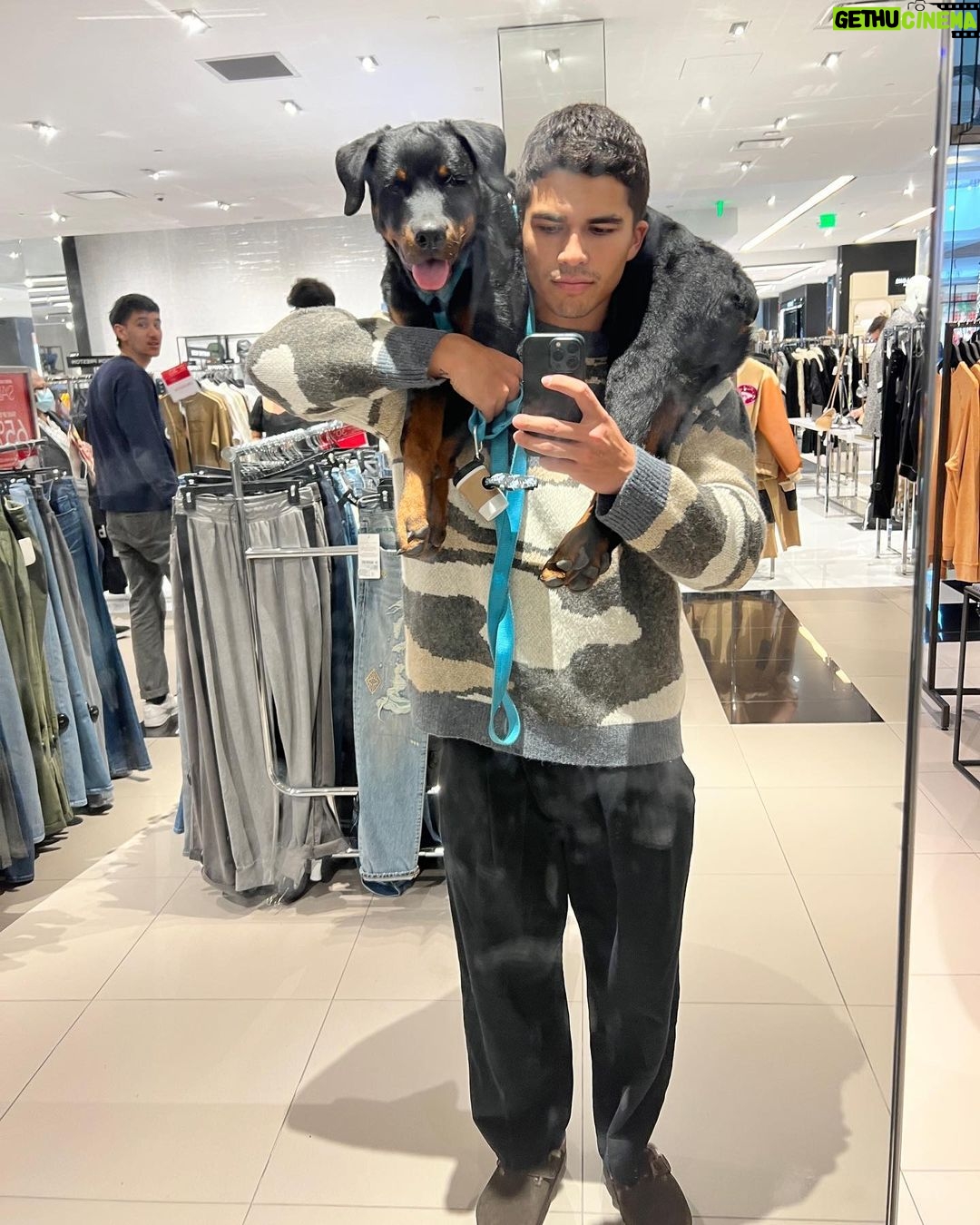 Alex Aiono Instagram - Miso Piso Pudding Pie, you’re the apple of my eye, cross my heart and hope to die, I swear you’re my forever guy❤️ On January 3rd, my Miso and I found out he had a very rare genetic defect, and that our time together wouldn’t be much longer. We spent these last 2 months making the most of every moment together. This morning Miso and I finally said farewell, and he peacefully passed on to a place where he knows no pain or suffering. My boy, you are the single greatest thing I’ve ever done. My heart may never be whole again, but I’ll always carry the perfect love that you gave me. Thank you for saving me. Thank you for making me feel completely loved and understood. Now run free and guide my path my sweet boy❤️