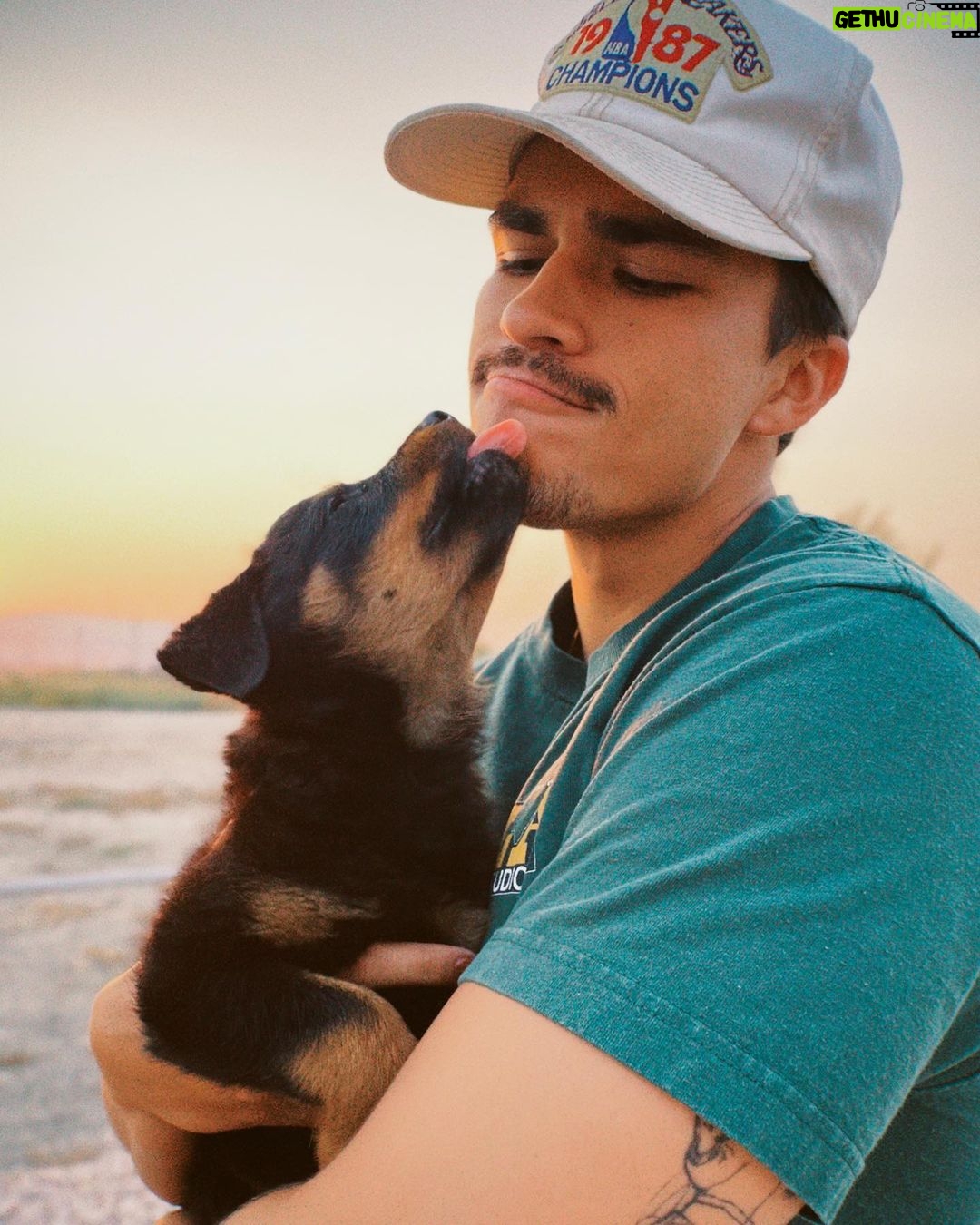 Alex Aiono Instagram - let’s all try not to freak out together🥹 hello miso❤️