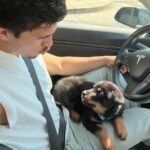 Alex Aiono Instagram - A song for my sweet boy Miso. I’m sorry for the pitch, signings hard when ur falling apart It’s hard to see How much of me Is gone with you You left too soon I wish I’d known I would’ve stayed at home I swore we’d get More time than this And I’ve been searching high and low for reasons But all I get is no one could’ve known There’s nothing you could’ve done I thought I’d have you more than just a season And I’d be done with feeling so alone Now I’m sitting in an empty home I feel you lay Against my leg I’m slow to move Cuz I know it’s you There’s no replace That could fill the space The dreams I had Are all in half And I’ve been searching high and low for reasons But all I get is no one could’ve known There’s nothing you could’ve done I thought I’d have you more than just a season And I’d be done with feeling so alone Now I’m sitting in an empty home
