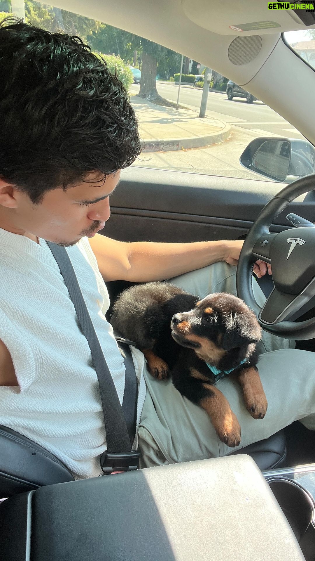 Alex Aiono Instagram - A song for my sweet boy Miso. I’m sorry for the pitch, signings hard when ur falling apart It’s hard to see How much of me Is gone with you You left too soon I wish I’d known I would’ve stayed at home I swore we’d get More time than this And I’ve been searching high and low for reasons But all I get is no one could’ve known There’s nothing you could’ve done I thought I’d have you more than just a season And I’d be done with feeling so alone Now I’m sitting in an empty home I feel you lay Against my leg I’m slow to move Cuz I know it’s you There’s no replace That could fill the space The dreams I had Are all in half And I’ve been searching high and low for reasons But all I get is no one could’ve known There’s nothing you could’ve done I thought I’d have you more than just a season And I’d be done with feeling so alone Now I’m sitting in an empty home