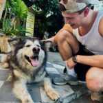 Alex Høgh Andersen Instagram - A few highlights from the past month✌🏼