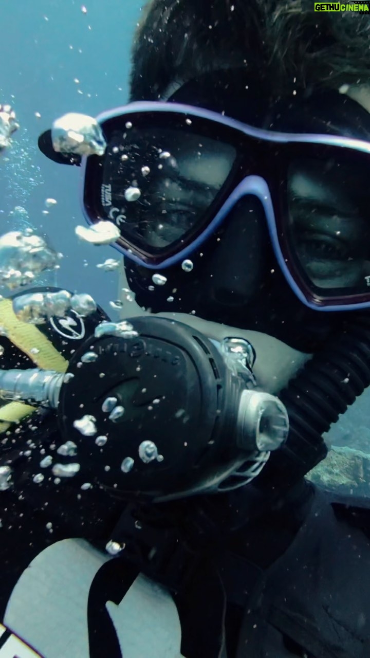 Alex Høgh Andersen Instagram - For a week my life has been nothing short of amazing. Like a freaking dream. @bluecornerdive is an incredible place of kind and hardworking people set on a mission to restore the coral reefs of Lembongan Island. 🪸 A challenging but necessary deed to preserve the beautiful wildlife and ecosystem of this unique area. Via @gatetonature_ we’ve started a crowdfunding to fund more than 40.000 acres of coral reef restoration vital to the wildlife and, one of my favourites, the sea turtle. (WTF-moment swimming right next to one 🐢) Visit @gatetonature_ and the link in my bio to support and learn more. THANK YOU ❤️🐢🪸 @fotografit.eu bringing the gear! Thanks a mill! 📸
