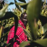 Alex Høgh Andersen Instagram - This past weekend was special! I, @malteebert and Jesper Stagegaard from Ree Park Safari hosted a charity-talk shedding light on a very important and tragic subject: the devastating deforestation happening in Masai Mara in Kenya. 🌳🐘 After the talk my pictures from our trip to Kenya was exhibited and auctioned with all the proceeds being donated to nature reservation in Masai Mara to help the rehabilitation of the ecosystem. It was a truly beautiful evening and I was very humbled and happy to see so many people support this cause! And hey, now YOU can too! Visit @gatetonature_ ‘s website to get your owned limited signed print and support the living beings of Masai Mara. Thanks a mill! Xx Alex🦒🌳🐘
