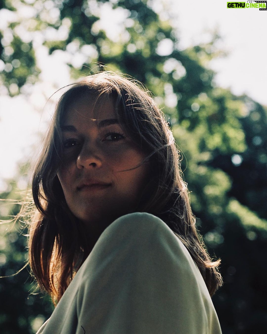 Alex Høgh Andersen Instagram - Analog adventures. 6-8 different 35mm rolls over a year and a half, I think.. lost count.