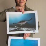 Alex Høgh Andersen Instagram – We have the perfect Christmas Gift idea for you! It’s a meaningful and unique gift that also supports a good cause 💚 In collaboration with actor and photographer Alex Høgh Andersen, we present our new Limited edition – handwritten signature posters.

Purchase two posters for 50 USD 
Purchase one poster for 35 USD 

PURCHASE VIA LINK IN BIO ⤴️

All posters are personally signed by Alex Høgh Andersen and are sized at A3 (297 x 420 mm). And the best part? We offer FREE shipping! 🚚

Make a difference with your Christmas shopping this year. By purchasing one of our posters, you support our efforts in coral reef restoration and the protection of our oceans 🪸🌊

🇩🇰 Plakaterne kan også købes på vores danske hjemmeside. Vi har smidt linket i bio.