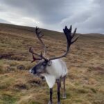 Alex Høgh Andersen Instagram – A wee bit of magical Scotland 🏴󠁧󠁢󠁳󠁣󠁴󠁿